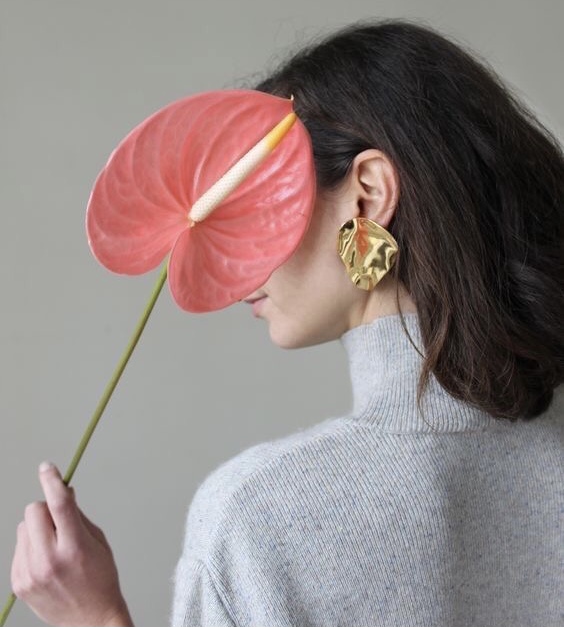 �������� ��������