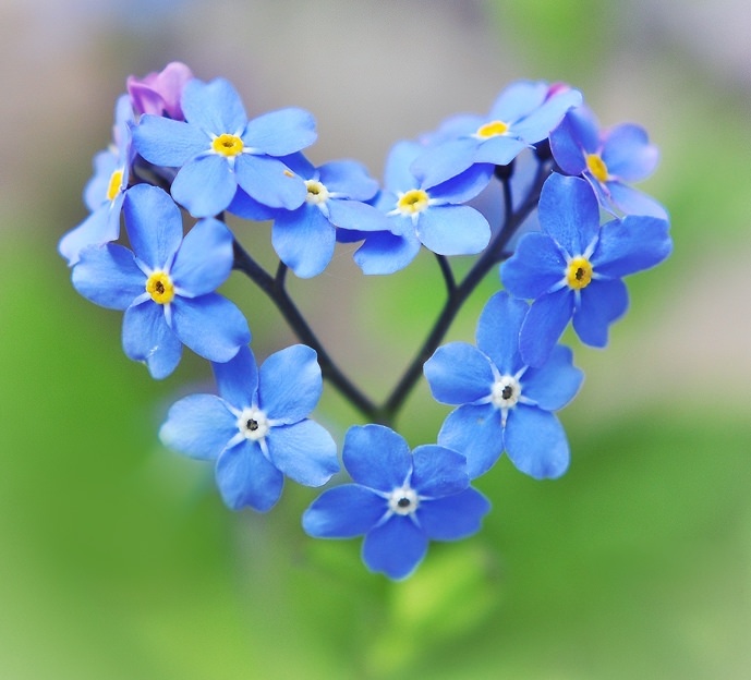 ��������� ��������