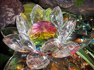 Нежный Цветок