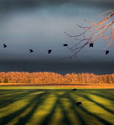 ������� ����������