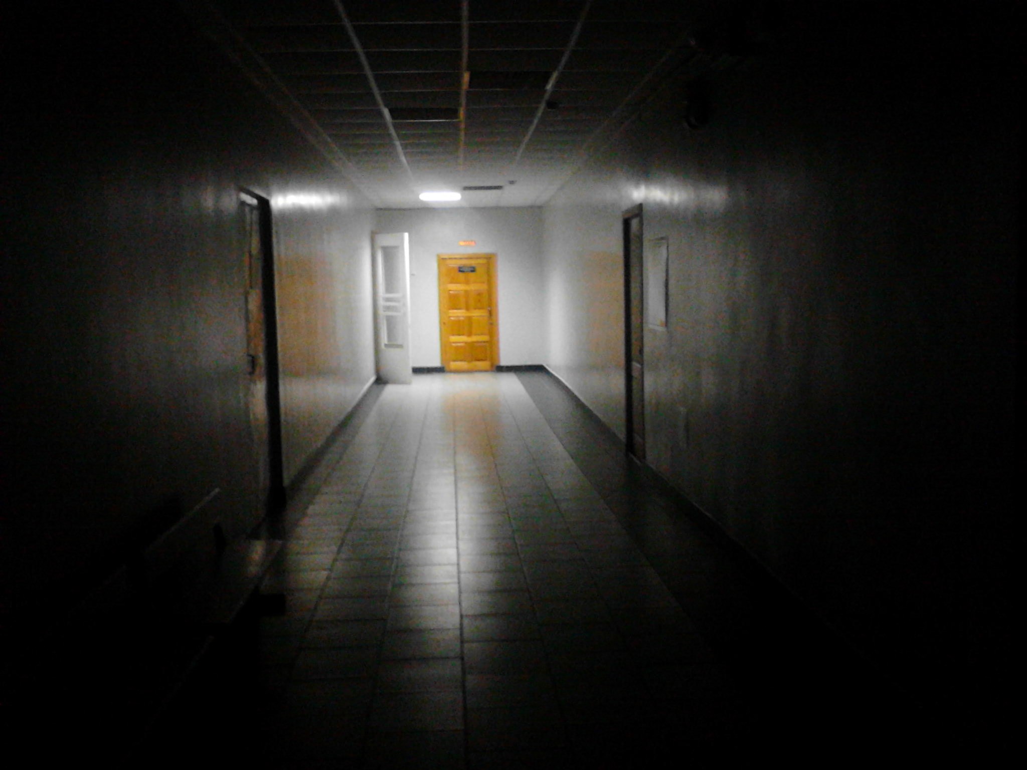 ������ ������