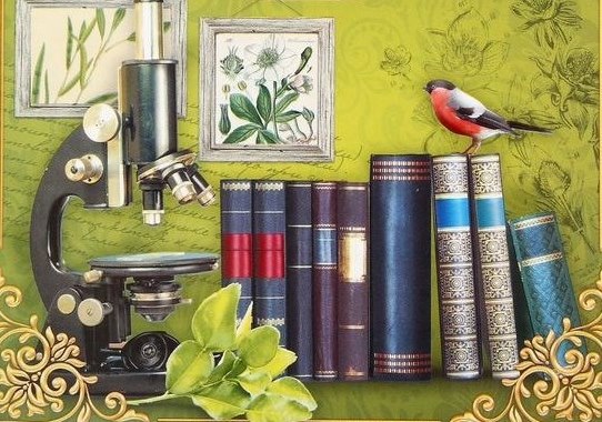 ������� ��������