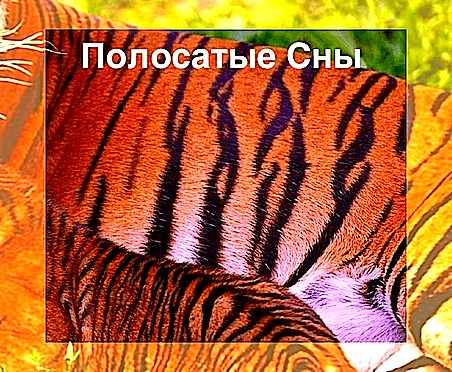 Полосатые Сны