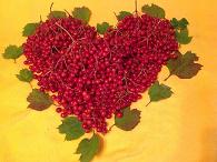 ���� ���