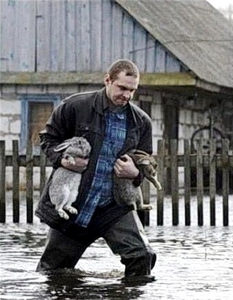 ������� ������ �������