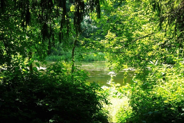 ������� �����