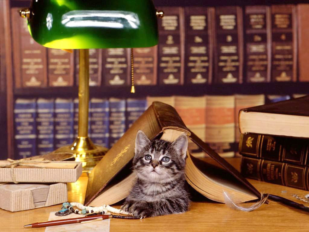 ������� ������� ����������