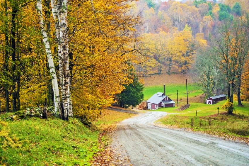 ������� ������������