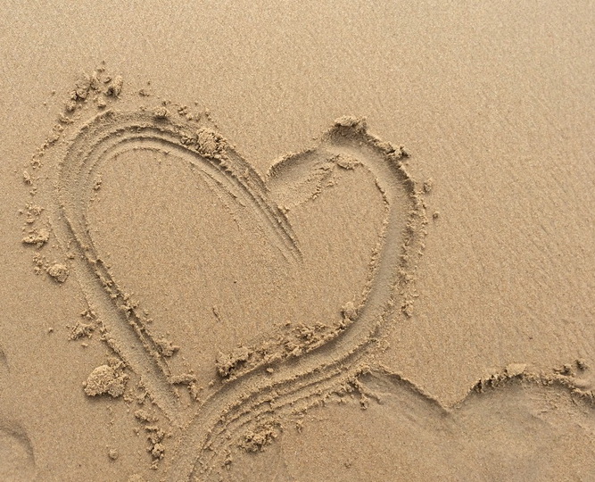 ������ ���������