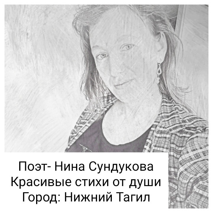 ���� ���������