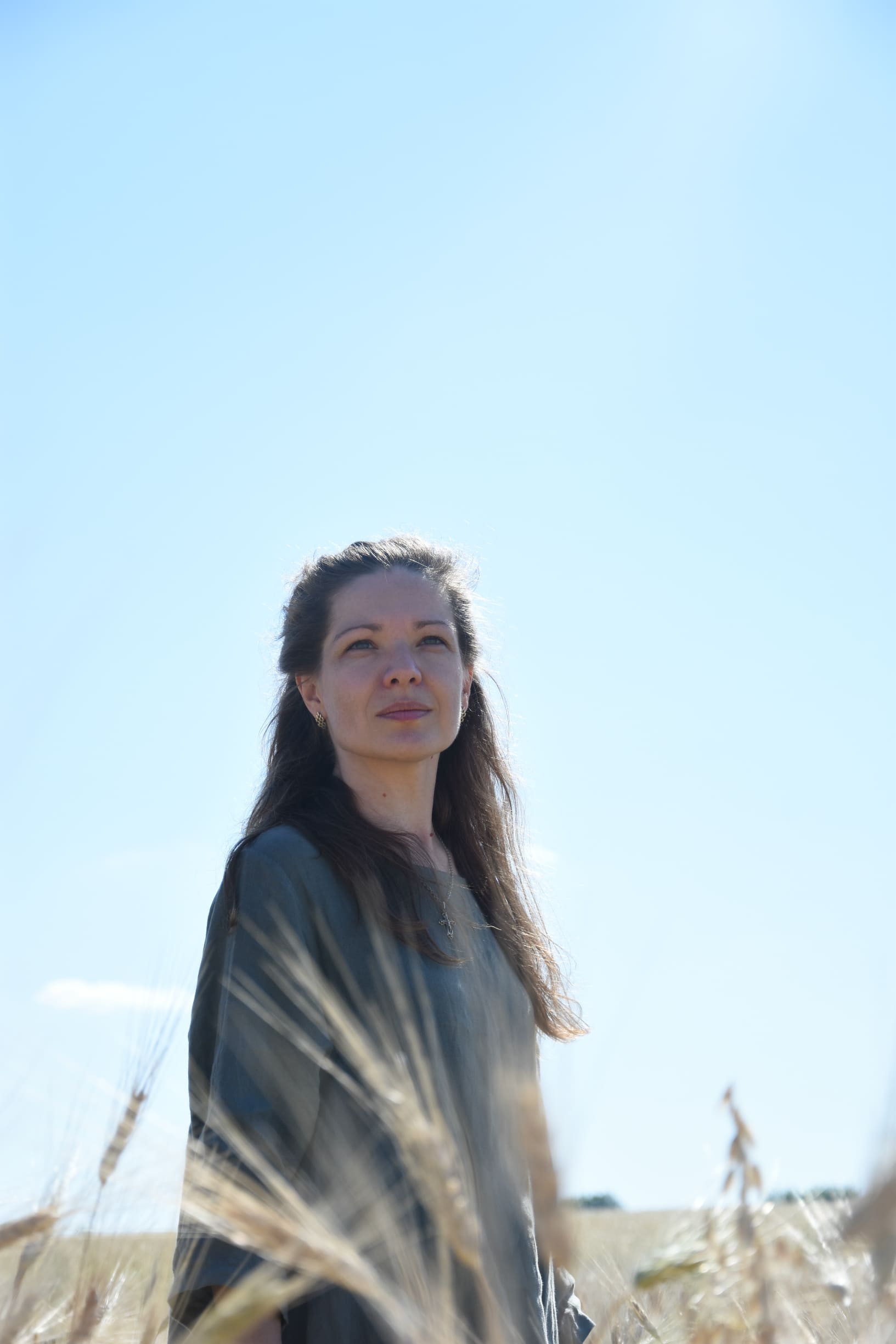 ���� ���������� �������