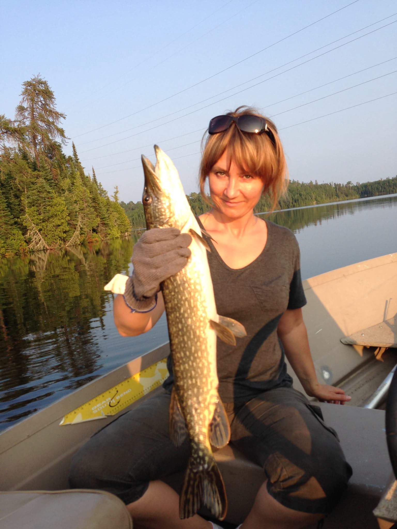 �������� ��