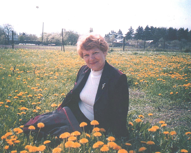 ���� ������