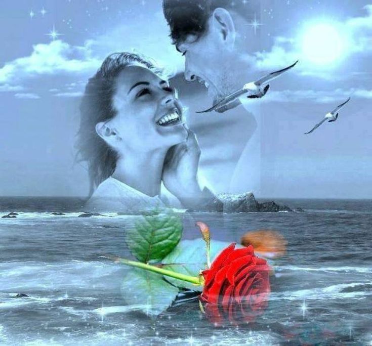 ������ ������