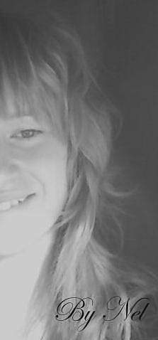 ���� �����������