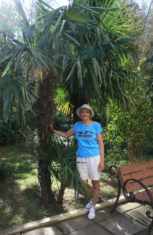 ���� �������