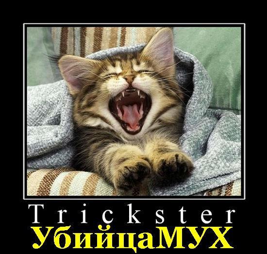 ������ ���