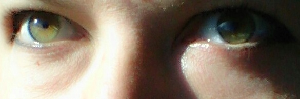 ���� ������