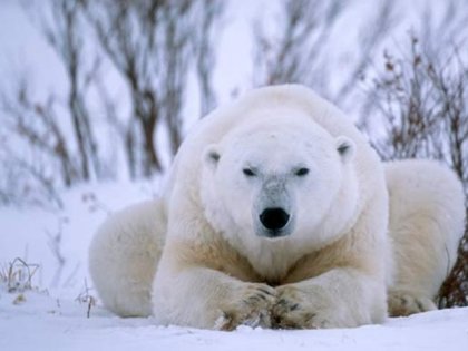 Серхио Альварес