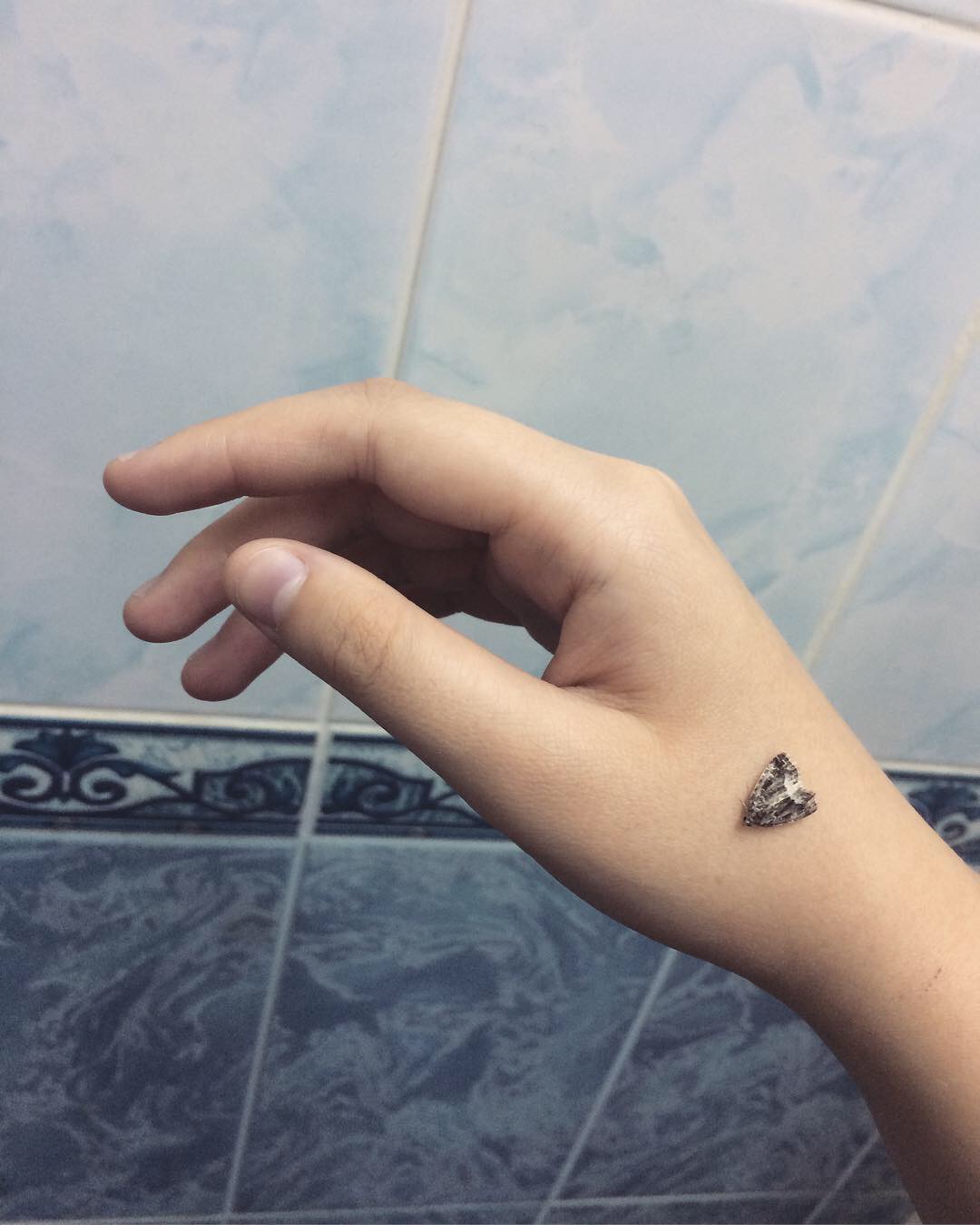 Трофимова Настя