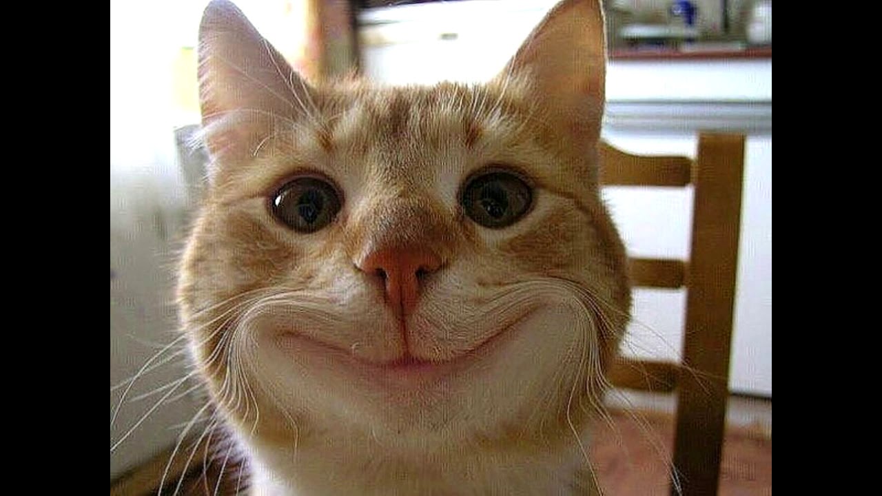 �������� ��������� 2