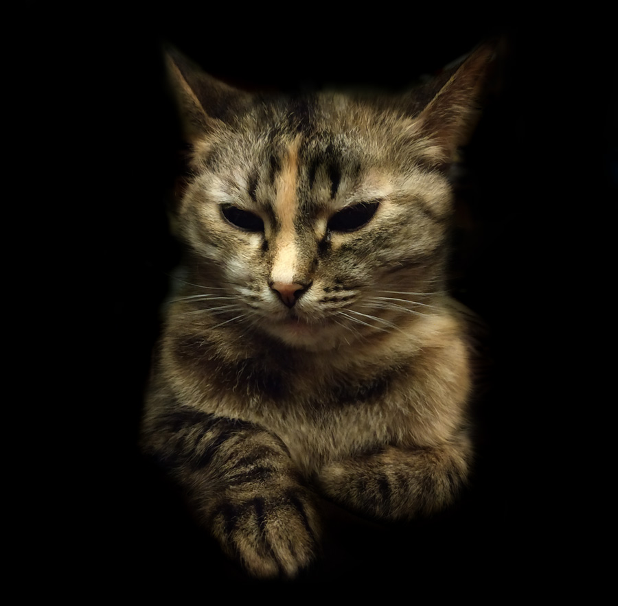 ������ ������� ���������