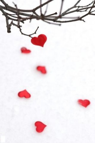 ���� ��������