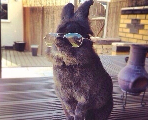 Антон Бородин Барнаул