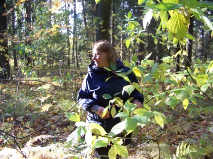 ��������� �������� ����������