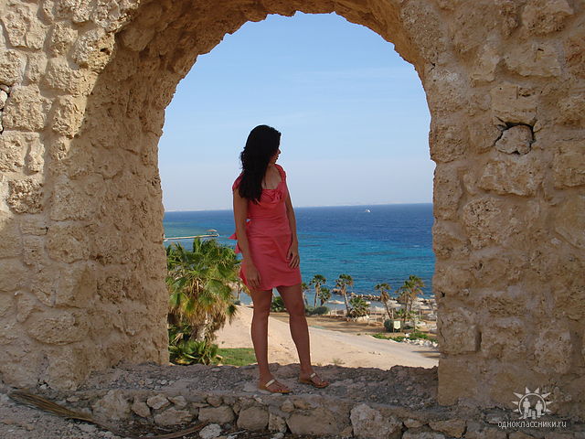 ���� ���������