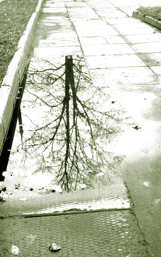 ��������� ����������