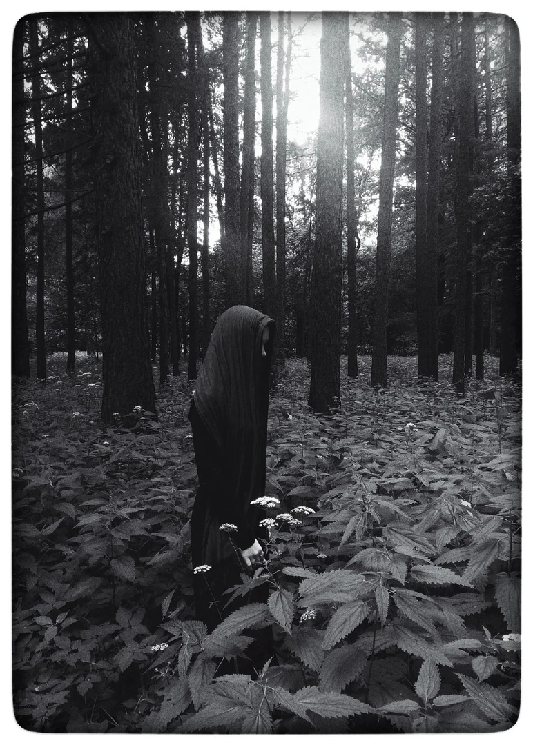 ���� ��������