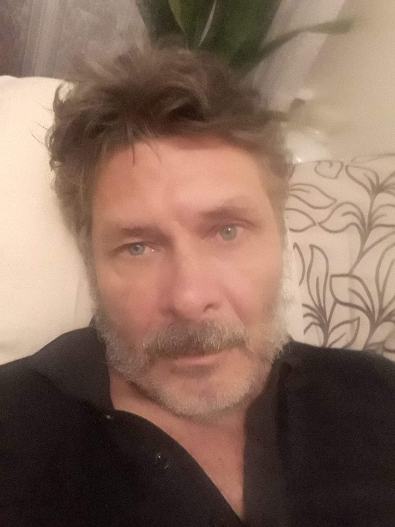 ���� ���������