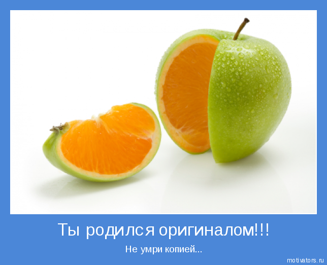 ����� ��������