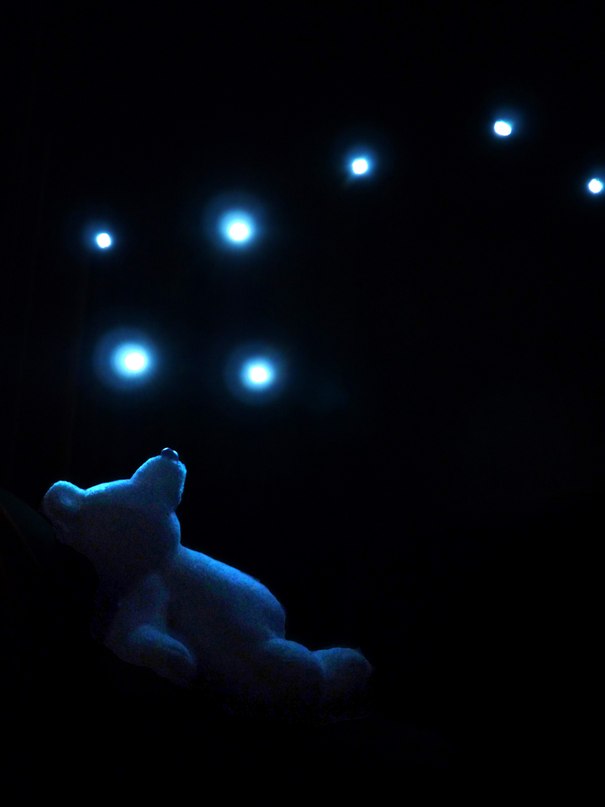 ���� �������