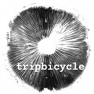 ����� ������������� ���������