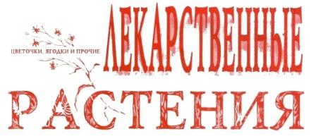 Цветочки-Ягодки Лекарственные Ра