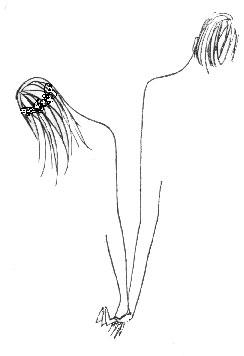 ���������� �������