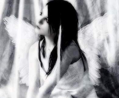 ��� ��������