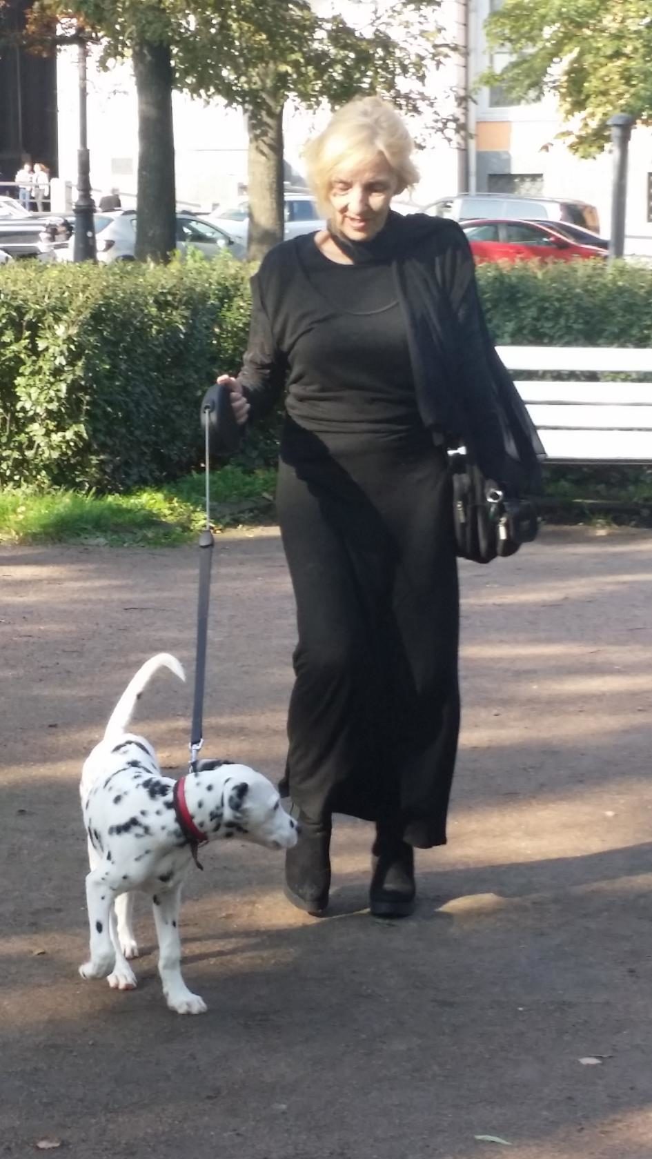 ����� ������� �������