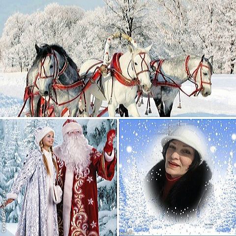 ����� ����������