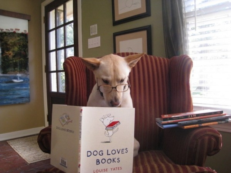 Олег -Просто Читатель