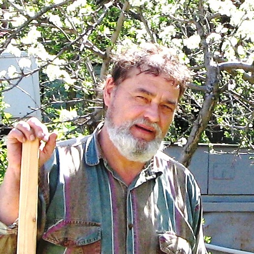 ���� ��������