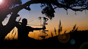 ���� ������ 3