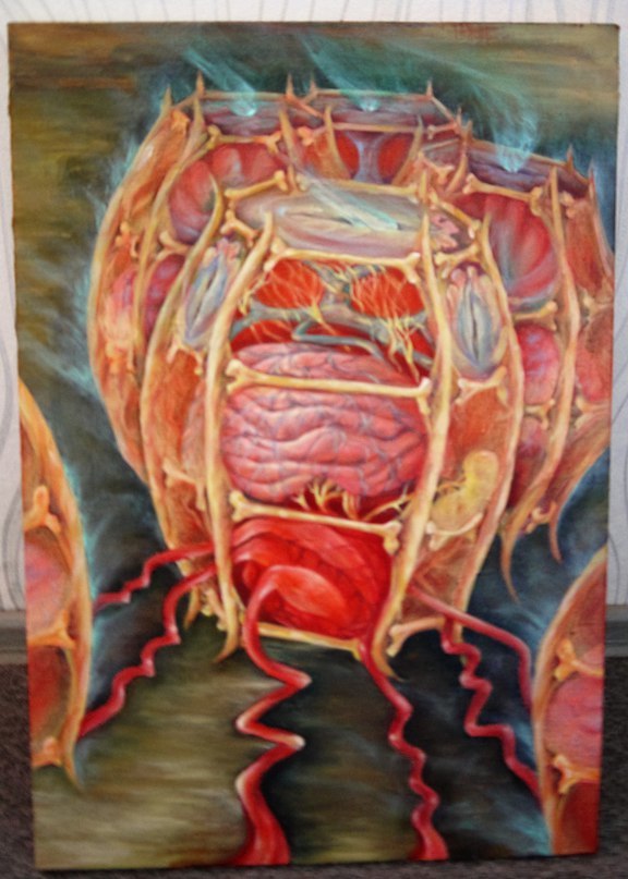 ������ ���������