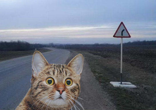 ���� ������