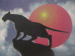 ������� �����������