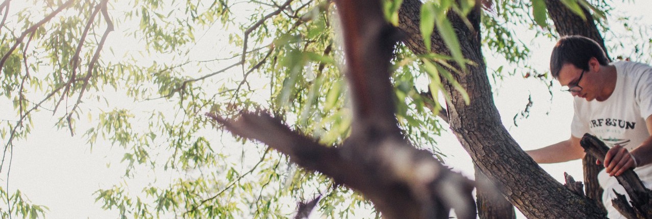 ������ �������