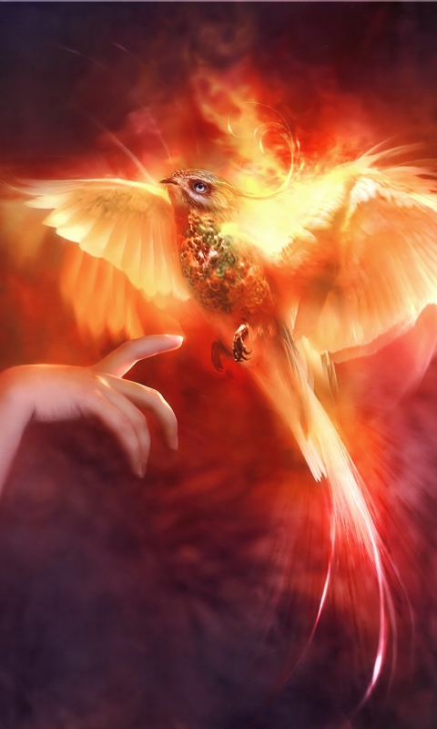 ���� ��������