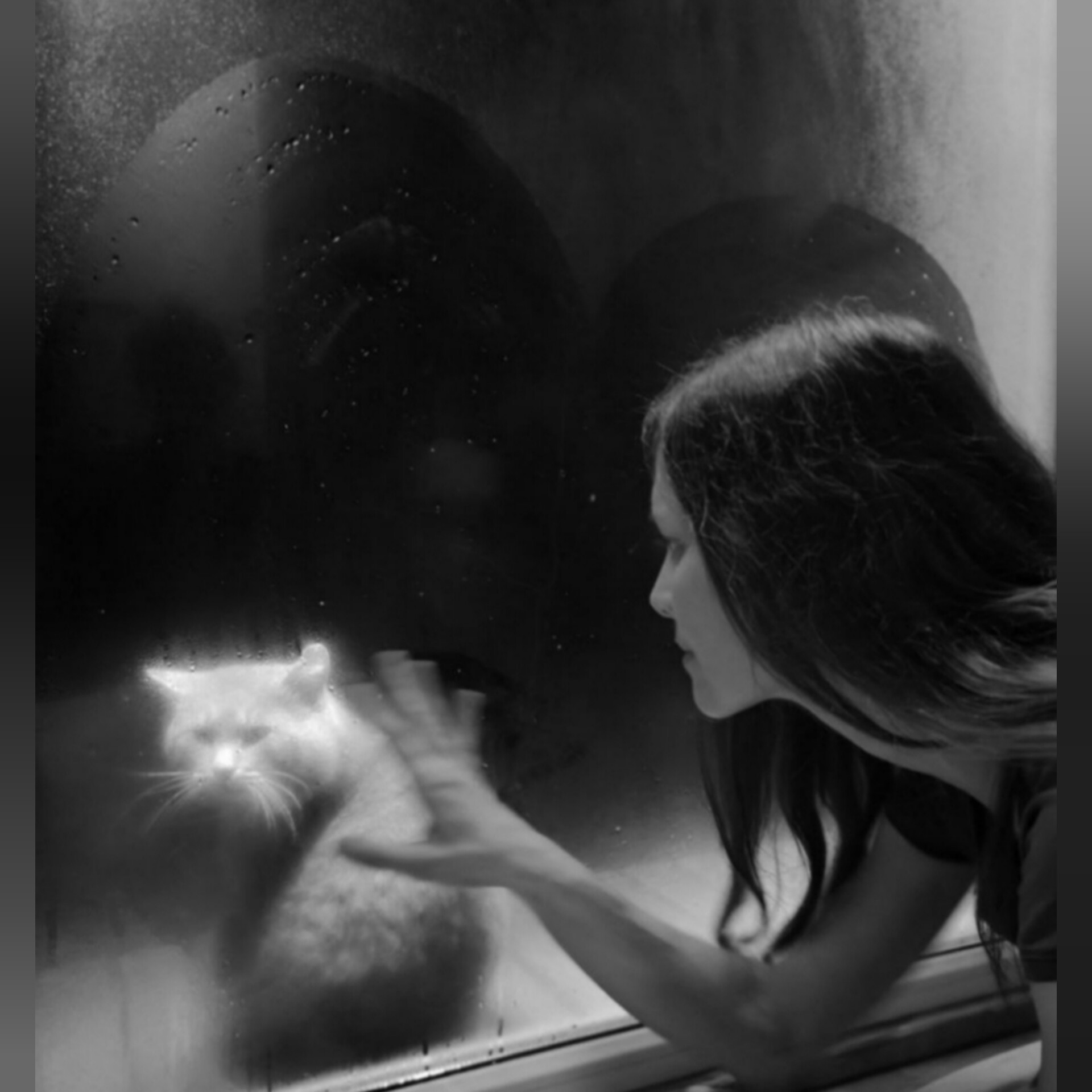 ����� ��������